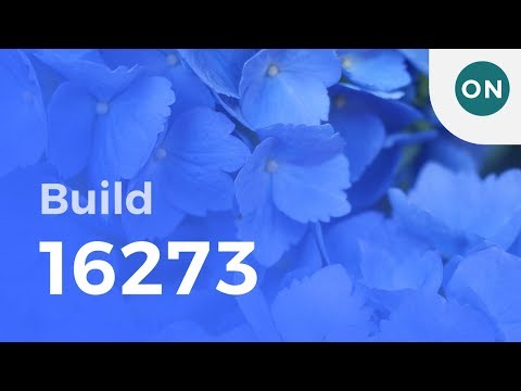 Hands on with Variable Fonts in Windows 10 build 16273