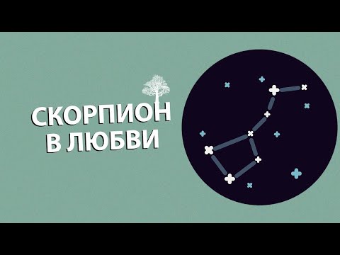 Видео: Какие цвета нравятся Скорпионам?