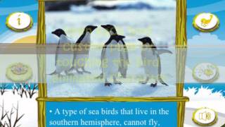 Birds Pro (iPhone, iPad, iPod application) screenshot 3