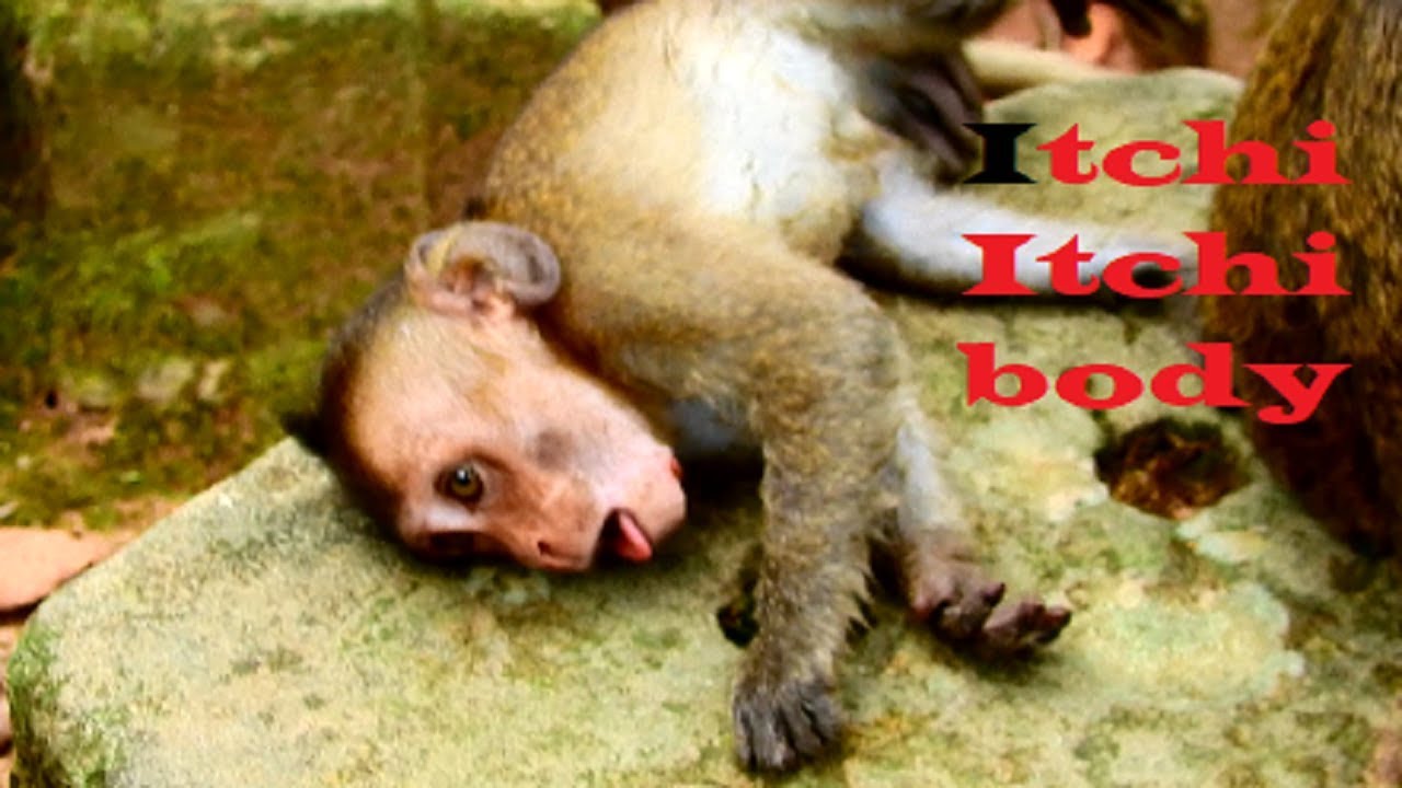 Days 4 !!! Adorable David crossing-walking water till feel tired, Mum start bored & careless on baby