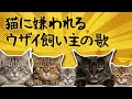 【AI MV】猫に嫌われるウザイ飼い主の歌