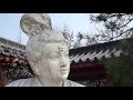 Beginning of video