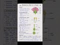 class 10 most important chapter in biology How to organisms reproduce