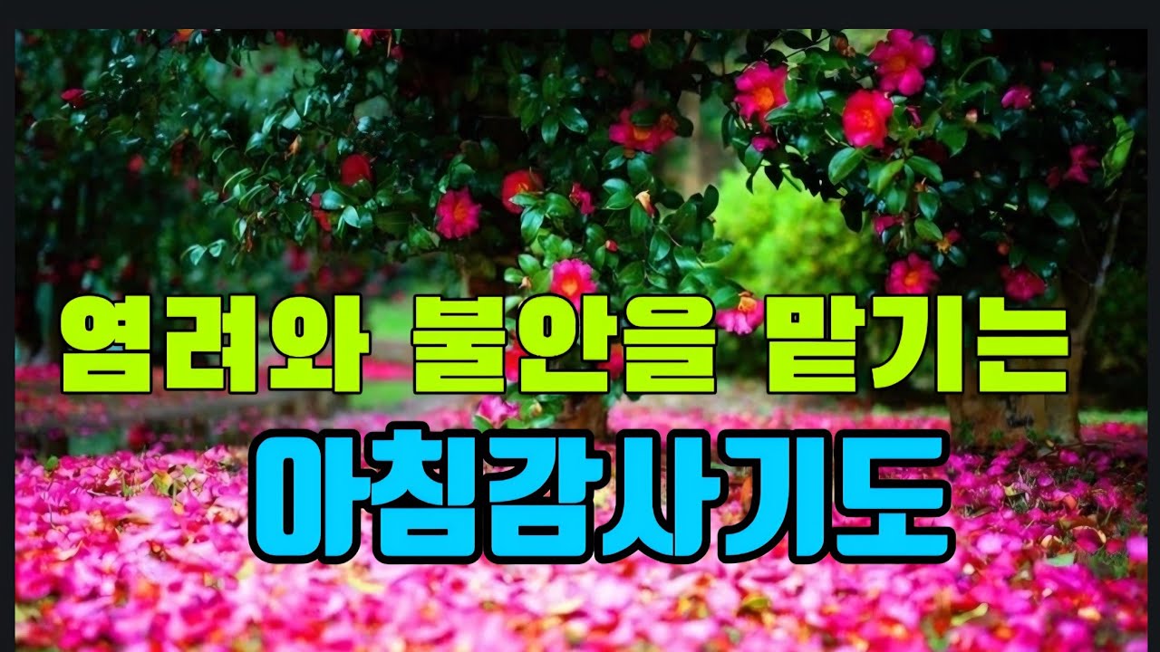 불안과 염려가 생길 때 드리는 기도