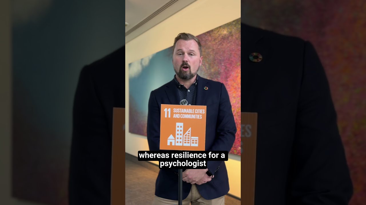 What Is Resilience 