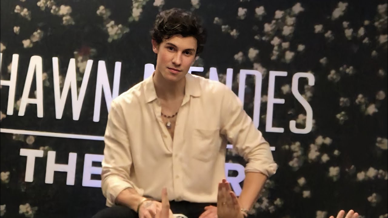 Shawn Mendes The Tour Kuala Lumpur FULL Q&A ( MY SILVER VIP EXPERIENCE )