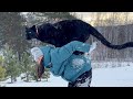 Circus with Luna the Panther 🎪(ENG SUB)