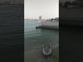 nice view obhur sea jeddah