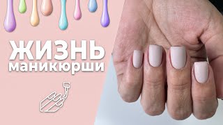 Влог_25/260823. Накосячила 🙈 Не подружилась с дикиди. Красота страшная сила. Переезжаем