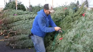 Billings nonprofit selling Christmas trees to raise money for addiction recovery