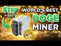 NEW DOGE MINER EARNS $117 A DAY?!