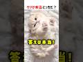 【何問正解できる？】ウソか本当どっちだ！？ part88 #ショート #クイズ #shorts #猫 #かわいい #cat #funny