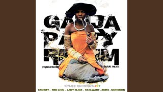 Ganja Party Riddm Intrumental screenshot 4