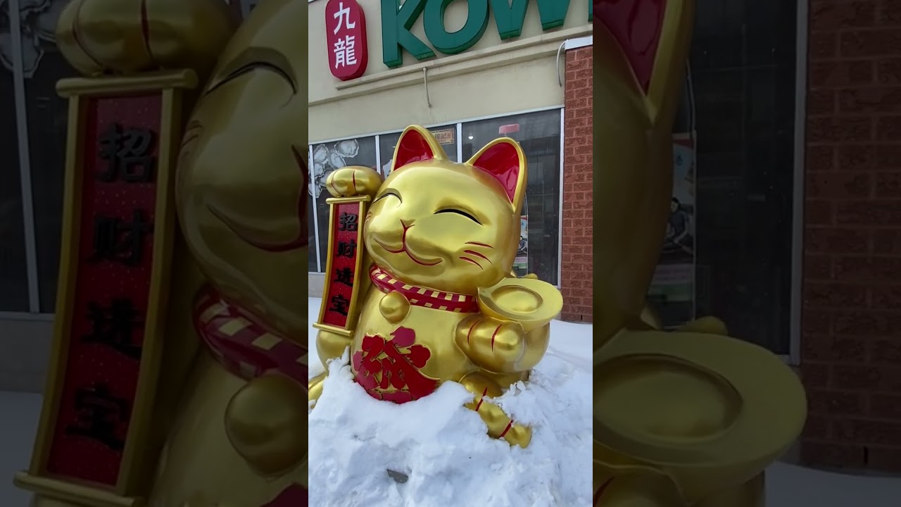 Ottawa Chinatown Walk with Police Pulling Car Over