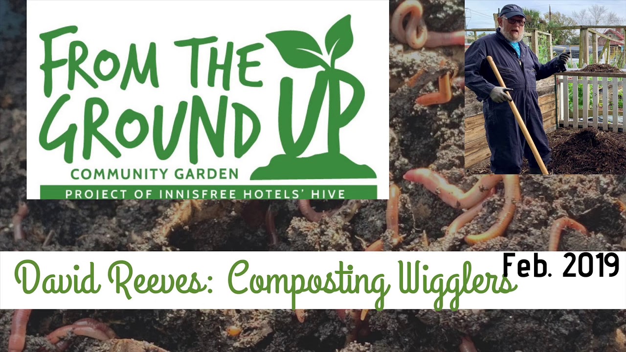 3.1.2019: David Reeves - Compost Wigglers