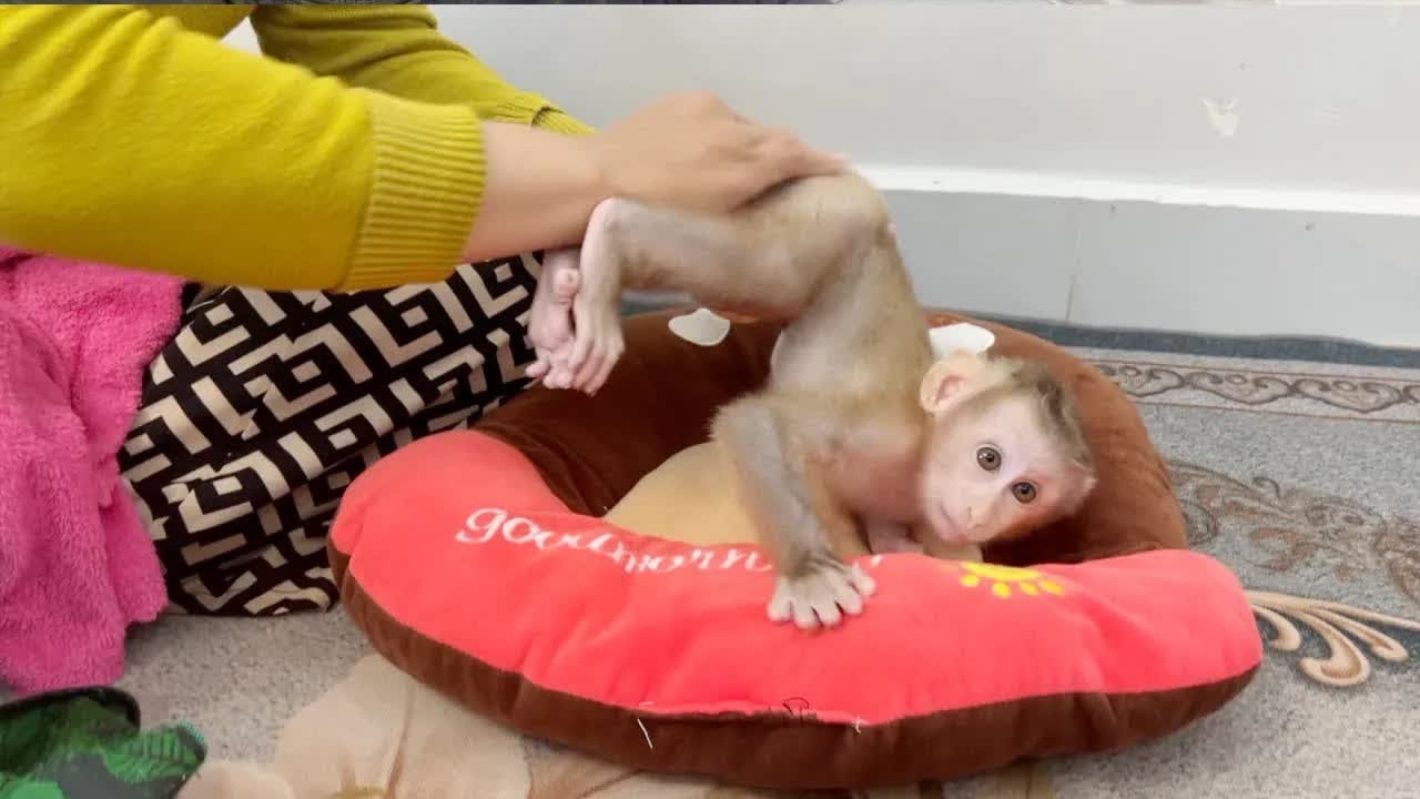 Funny Jelly Jump Up While Mom Apply Powder To Treat Diaper Rash