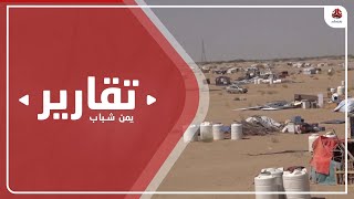 مأرب .. مئات الأسر المهجرة في العراء