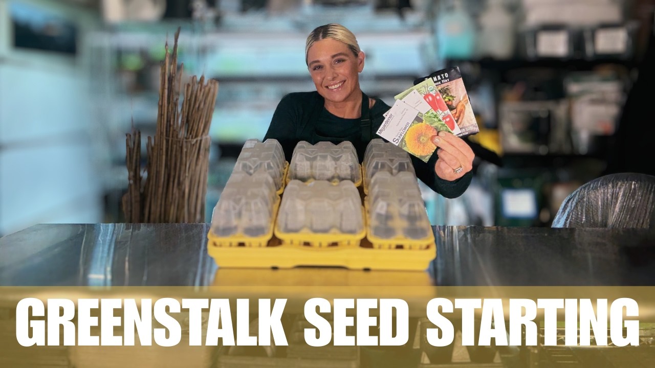 Сезон томатов начинается прямо сейчас | Семена Greenstalk появятся в продаже с февраля 2026 года