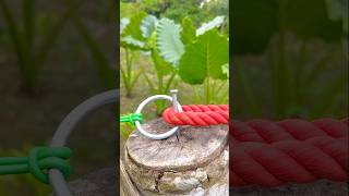 The Rope Trick That Looks Like Magic! 🤯🪢#shorts #shortsfeed