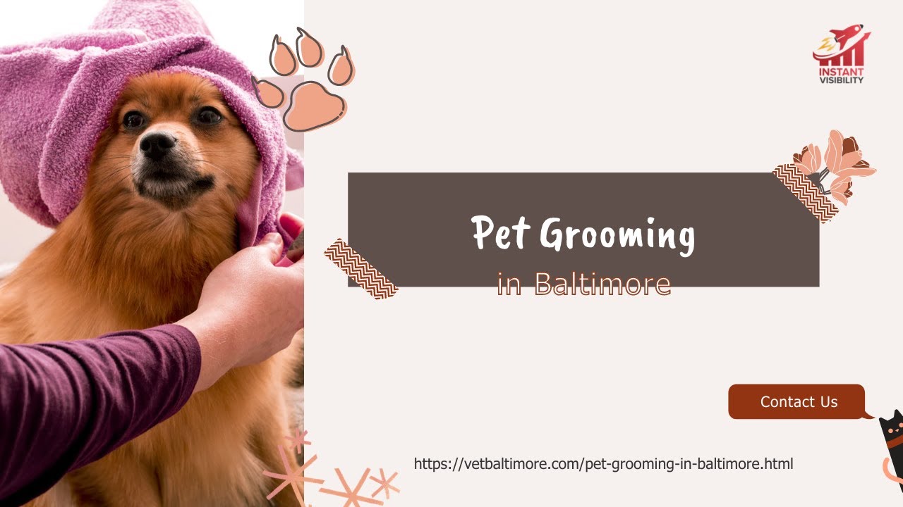 Pet Grooming in Baltimore YouTube