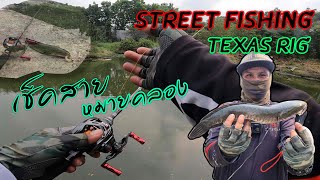 EP.124 สตรีท เท็กซัส ริก ช่อนคลองมันเสมอท่ามีตัว [Street Fishing] [Texas Rig]