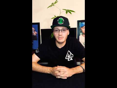 New Cbd Gummies Best Cbd Gummies 2019