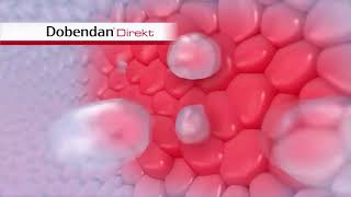 Dobendan 15775370 Okt2017