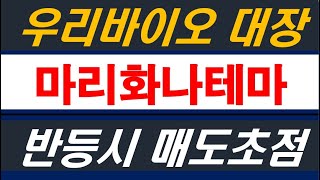 마리화나테마 우리바이오, 오성첨단소재, 화일약품 애머릿지 등 트럼프정부에서 합법화추진? 가능성 희박하다고 판단하는 이유