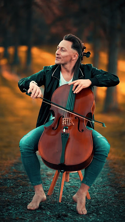 Love Story Cello ❤️🎻#music #love #cello #lovestory#coversong