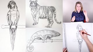 How to Draw Rainforest Animals | Learn the Skill of Drawing for Beginners | Online Art Lessons