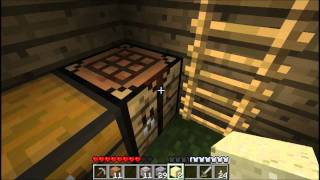Minecraft Episode 5 - An unexpected guest