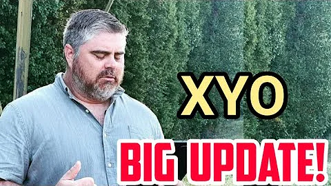 XYO BIG UPDATES ||  XYO Price Prediction & News Today! XYO Today News