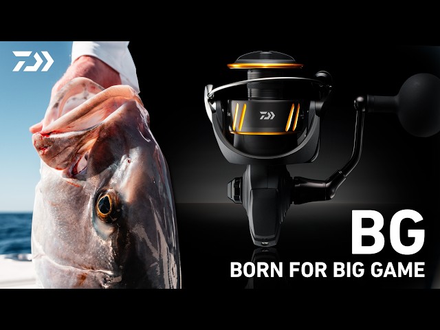 DAIWA 2026 BG Explained | Everything You Need to Know - YouTube