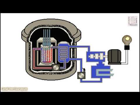 Vidéo: L'eau est-elle un absorbeur de neutrons ?