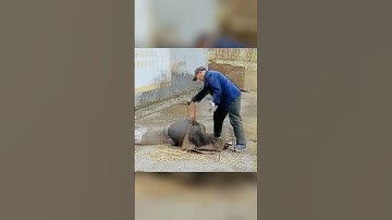 Acetate tow|Acetate tow is a versatile material that can be used in a wide range of applications.