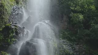 Только Мы В Ответе За Нашу Планету Социальный Ролик О Проблеме Мусора