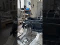 3D Scanner ile oyuncak kalıbı yapımı / Toy mold creation using a 3D scanner