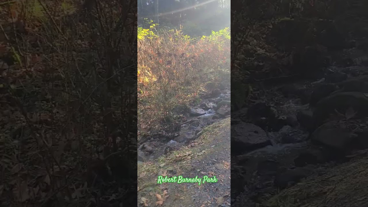 Hiking spot with beautiful scenery. Robert Burnaby Park has lots of creeks 