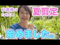 【今が切り時】綺麗な秋バラを咲かせる！夏剪定、始めました。イングリッシュローズ２種。
