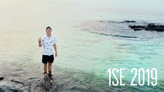 1SE 2019