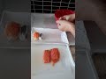 Türkiye'de Evde Sushi Yapabiliriz #yemek #kolaytarifler