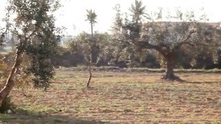 Fairuz - Katabna W Ma Katabna  فيروز - كتبنا وما كتبنا