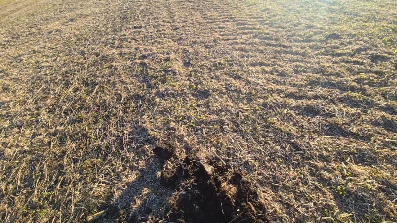 Virginia Metal Detecting A 1700s Era Farm