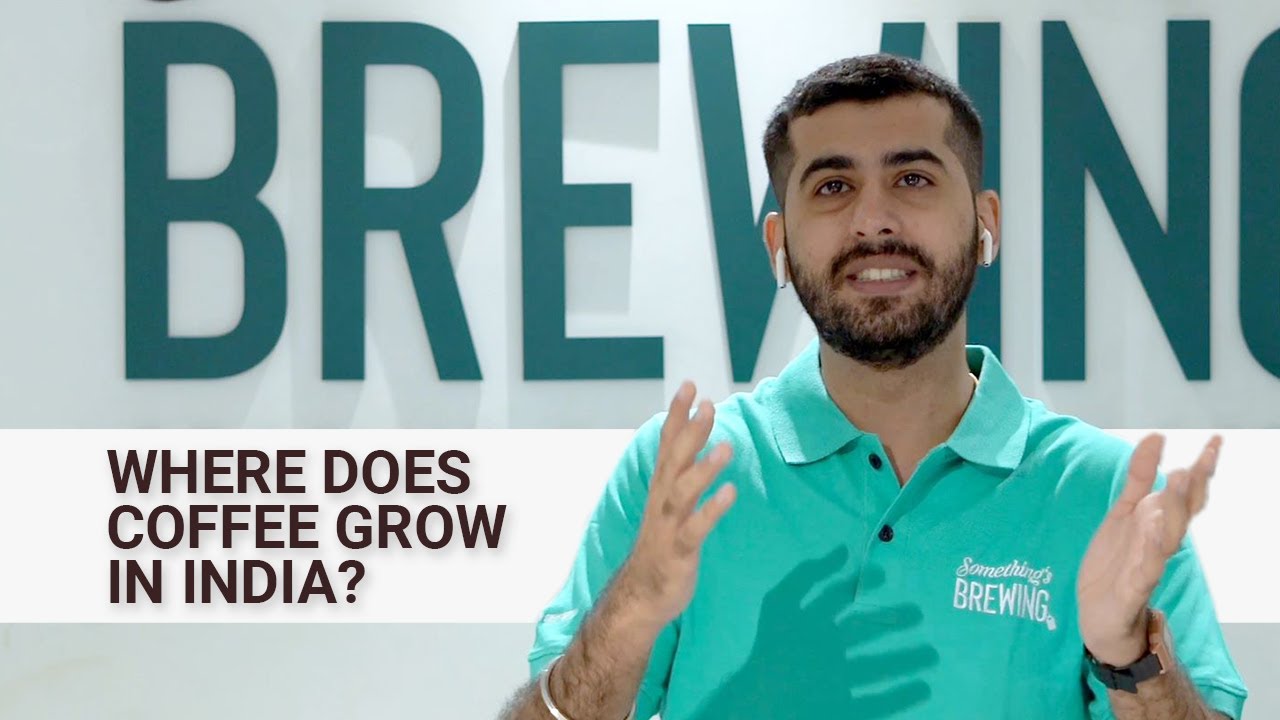 Where Does Coffee Grow In India Somethingsbrewing in YouTube where-does-coffee-grow-in-india-somethingsbrewing-in-youtube