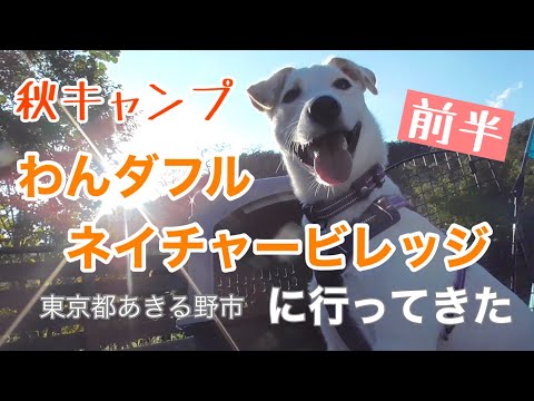 秋キャンプ わんダフルネイチャービレッジ 東京都あきる野市 へ行ってきた 前半 元保護犬ロキ Youtube 秋キャンプ わんダフルネイチャービレッジ 東京都あきる野市 へ行ってきた 前半 元保護犬ロキ Youtube