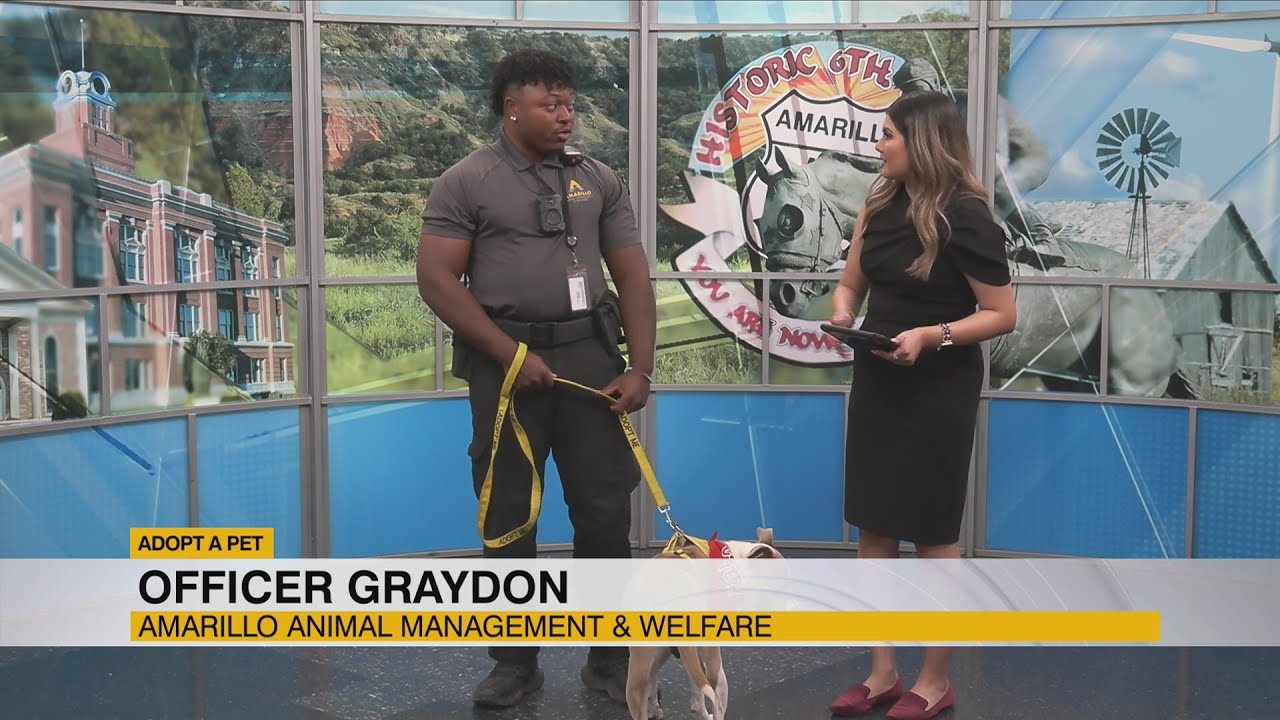 Tina looking for a new home after a stay at AAM&W