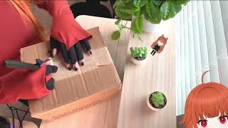 Vtuber unboxing Kawaii Box| Building Lego Set [Desk Cam] [VOD]
