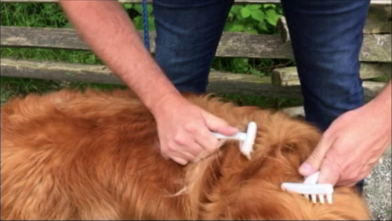 EZ-Groomer Pet Comb Demo Video #2