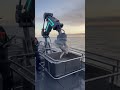 🚢🐟 Mind-Blowing Advanced Fishing Device on Ship: The End Will Shock You! 😲