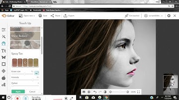 Recoloring Black and White Photos with Picmonkey